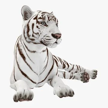 white tiger | 3D model