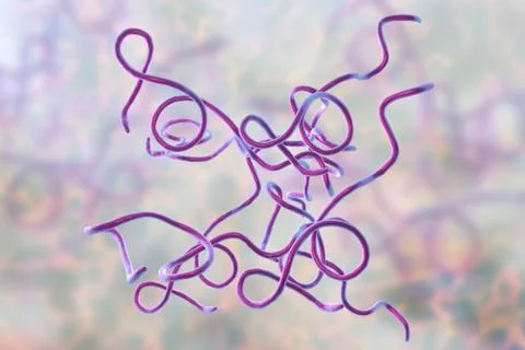 Lyme disease bacteria Stock Illustration