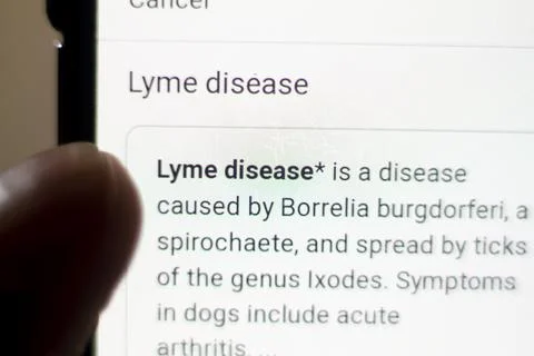Lyme disease News on the phone.Mobile phone in hands. selective focus and chr Stock Photos