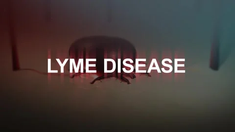 Lyme Disease Typography over an Embedded Tick Stock Footage 310342876