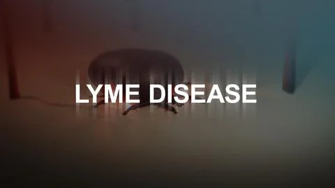 Lyme Disease Typography over an Embedded Tick 00000 Stock Illustration