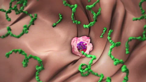 Lyme disease virus attack on immune cells Stock Footage 276813868