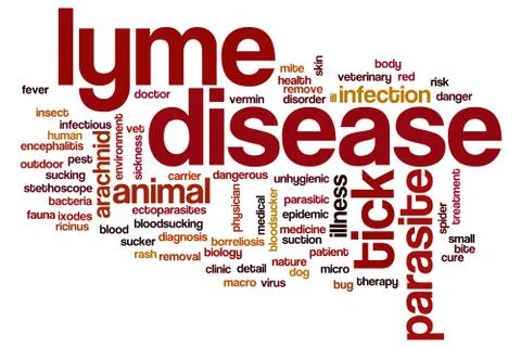 Lyme disease word cloud concept Illustrazione stock