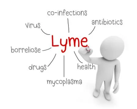 Lyme 库存插图