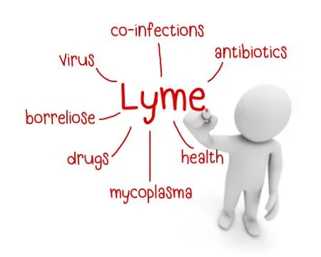 Lyme 스톡 일러스트