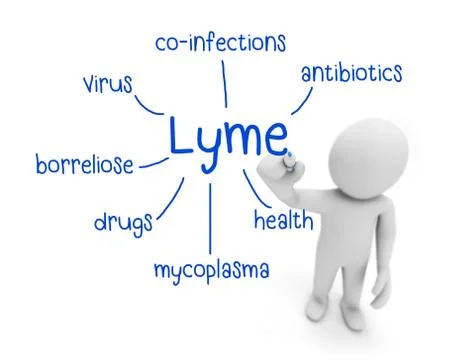 Lyme Illustration