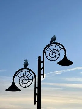 Lyme Regis Stock Photos