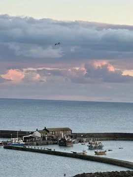 Lyme Regis Stock Photos