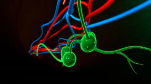 Lymph nodes in body Stock Footage 63394786