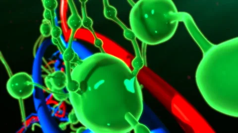 Lymph nodes in body Видео 63396136