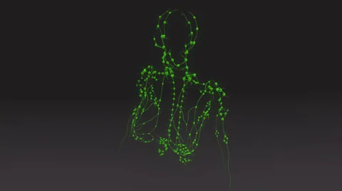 Lymph Nodes Stock Footage 68900167