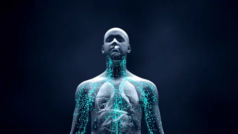 Lymphatic system in adult human Video stock 178546625