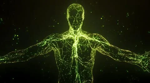 Lymphatic System Channels with Glowing Nodes Stock Illustration