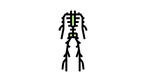 Lymphatic system color icon animation Stock Footage 224002318