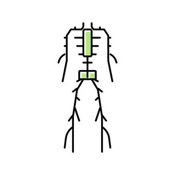 Lymphatic system color icon vector illustration 스톡 일러스트