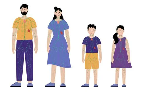 Lymphatic system in human body Stock Illustration
