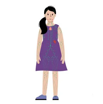 Lymphatic system in human body Stock Illustration