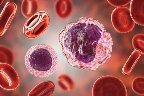 Lymphocyte and monocyte surrounded by red blood cells Stock Illustration