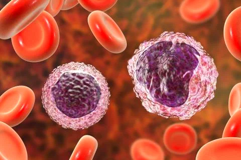 Lymphocyte and monocyte surrounded by red blood cells Stock Illustration