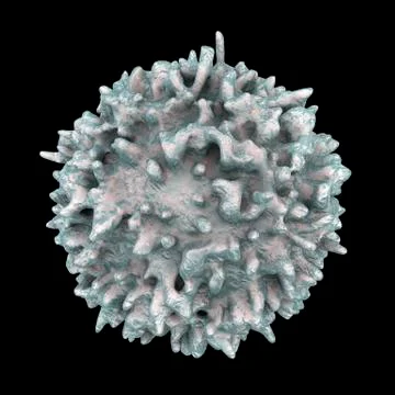 Lymphocyte, closeup view of T-cell or B-cell Stock Illustration