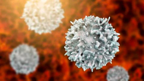 Lymphocyte, closeup view of T-cell or B-cell Stock Illustration