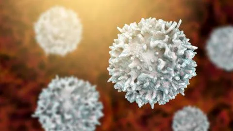 Lymphocyte, closeup view of T-cell or B-cell Stock Illustration