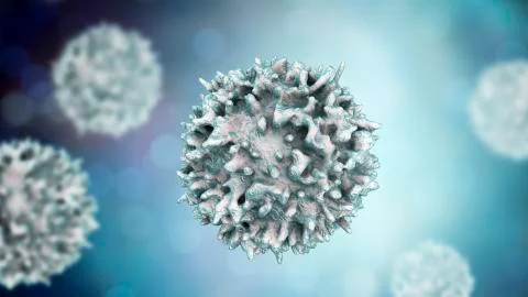 Lymphocyte, closeup view of T-cell or B-cell Stock Illustration