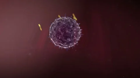 Lymphocyte generates antibodies Stock Footage 41610107