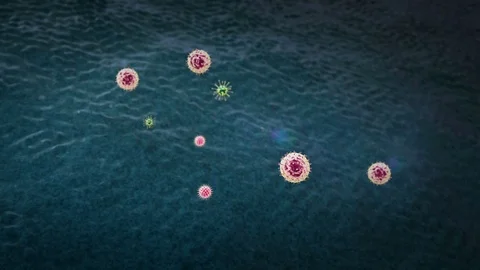Lymphocyte kills viruses, Coronavirus atack the lungs cell Video stock 122850984