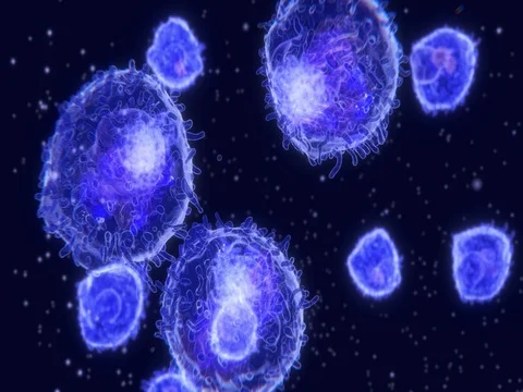 Lymphocyte white blood cells Stock Footage