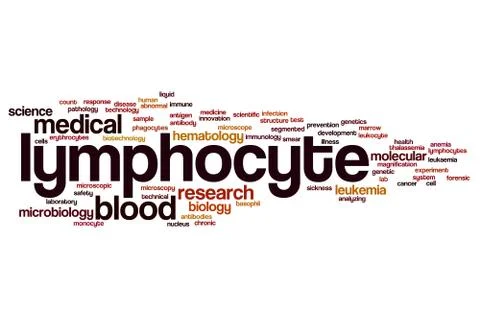 Lymphocyte word cloud Stock Illustration