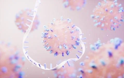 Lymphocytes and biomedical concept, 3d rendering. Stock Photos