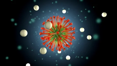 Lymphocytes attacking a Virus Stock Footage 116623390