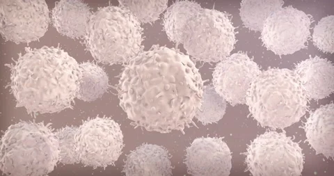 Lymphocytes flow animation. T-Cells under microscope. Video stock 148528695