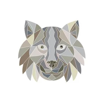 Lynx Cat Head Low Polygon . Stock Illustration