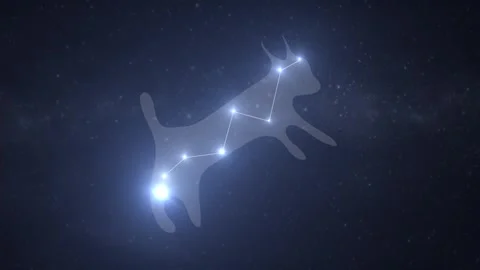 Lynx Constellation Animation – Star Map Stock Footage 333238980