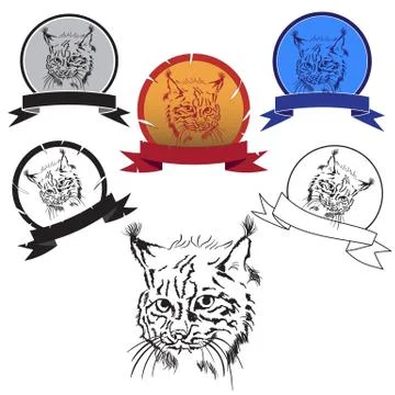 Lynx head image Stock Illustration