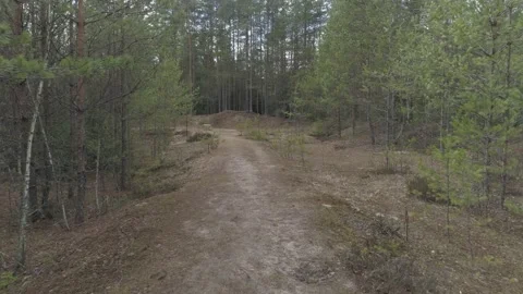 Lynx (Lynx lynx) Stock Footage 163524513