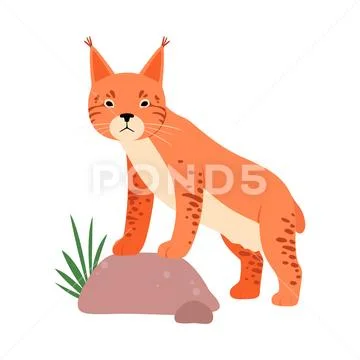 Lynx next to the stone. Vector illustration on a white background. Stock Illustration