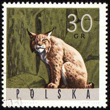 Lynx on post stamp Stock Photos