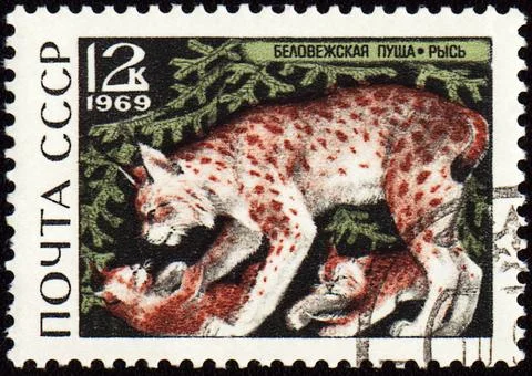Lynx on post stamp Stock Photos
