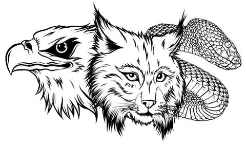 Lynx Wildcat eagle snake Logo Mascot Stock-Illustration