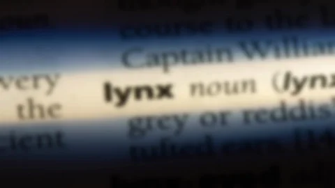 Lynx word in a dictionary. Stock Footage 99563122