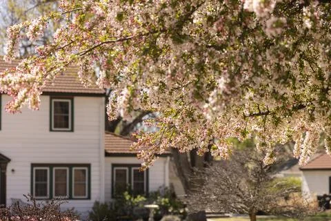 Lyons Kansas Spring Stock Photos