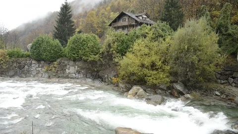 Lys river in a forest in the valley of Gressoney near Monte Rosa during autumn Stock Footage 105575189
