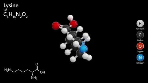 Lysine (Lys or K). Essential amino acid. C6H14N2O2. Black back. 3D render Video stock 295275310