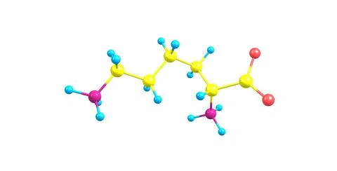 Lysine molecular structure isolated on white Stock Illustration