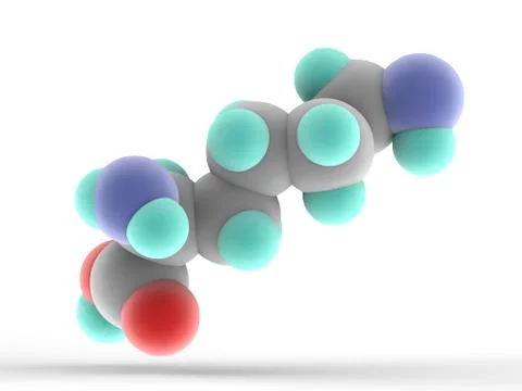 Lysine molecule Stock Illustration