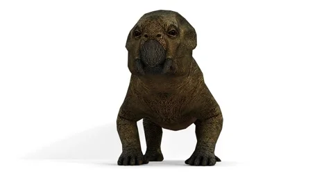 Lystrosaurus animation on white background Stock Footage 307157850