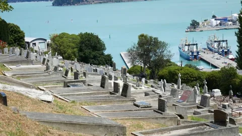 Lyttleton Cemetery and Harbour close  Stock Footage 147288466